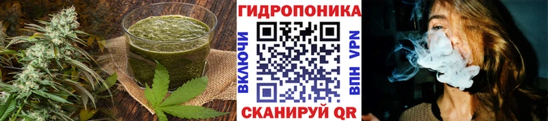 закладка  Дивногорск  Печенье с ТГК конопля 