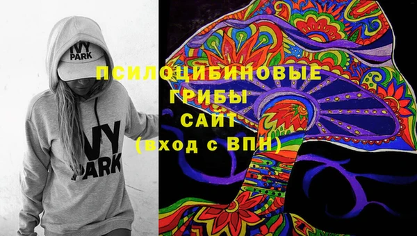 ПСИЛОЦИБИНОВЫЕ ГРИБЫ Дмитровск