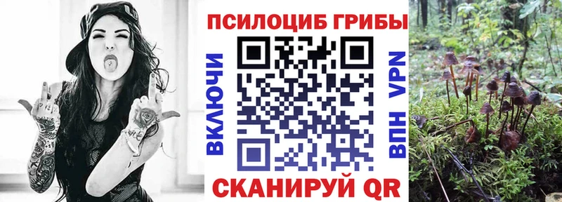 ОМГ ОМГ ТОР  купить  цена  Дивногорск  Псилоцибиновые грибы Magic Shrooms 
